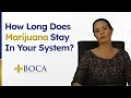 How Long Does Marijuana Stay In Your System