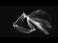 Processing Sketch 3