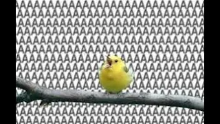 AAAAAAAAAAAAAAAAAAAAAAAAAAAAAAAAAAA