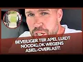 Download Lagu Beveiliger Ter Apel luidt NOODKLOK wegens overlast ASIELZOEKERS! 