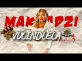 Master KG x Makhadzi-"VULINDLELA"(New Hit Song 2026 ) FT  Nkosazana Daughter x Nomcebo 