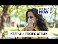 How to keep spring allergy symptoms mild as pollen fills the air