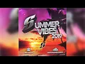 Download Lagu Summer Vibes 2019 (Mixed By Dj Synergy)