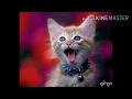 Download Lagu nada dering telepon suara kucing