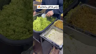 أزكى فلافل بالعالم الفلافل الفلسطيني 
