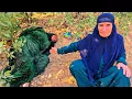 Download Lagu De tragische ontdekking van het lichaam van een dakloze moeder door een oudere vrouw