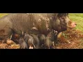 JJ Heller - Things I'm Thankful For (Official Music Video)