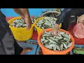 Download Lagu Rezeki memukat musim ikan payah..