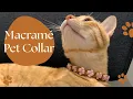 Macrame Cat Collar - Cute Safe Easy DIY