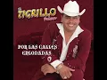 El Tigrillo Palma- Los Chiquinarcos