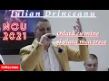 Download Lagu 🎬Iulian Drinceanu - Odată cu mine și viața mea trece [COVER 2021 Dragana Mirkovic Adi de la Vâlcea]