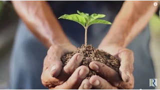 خواطر     خلاصة خواطر دندنها