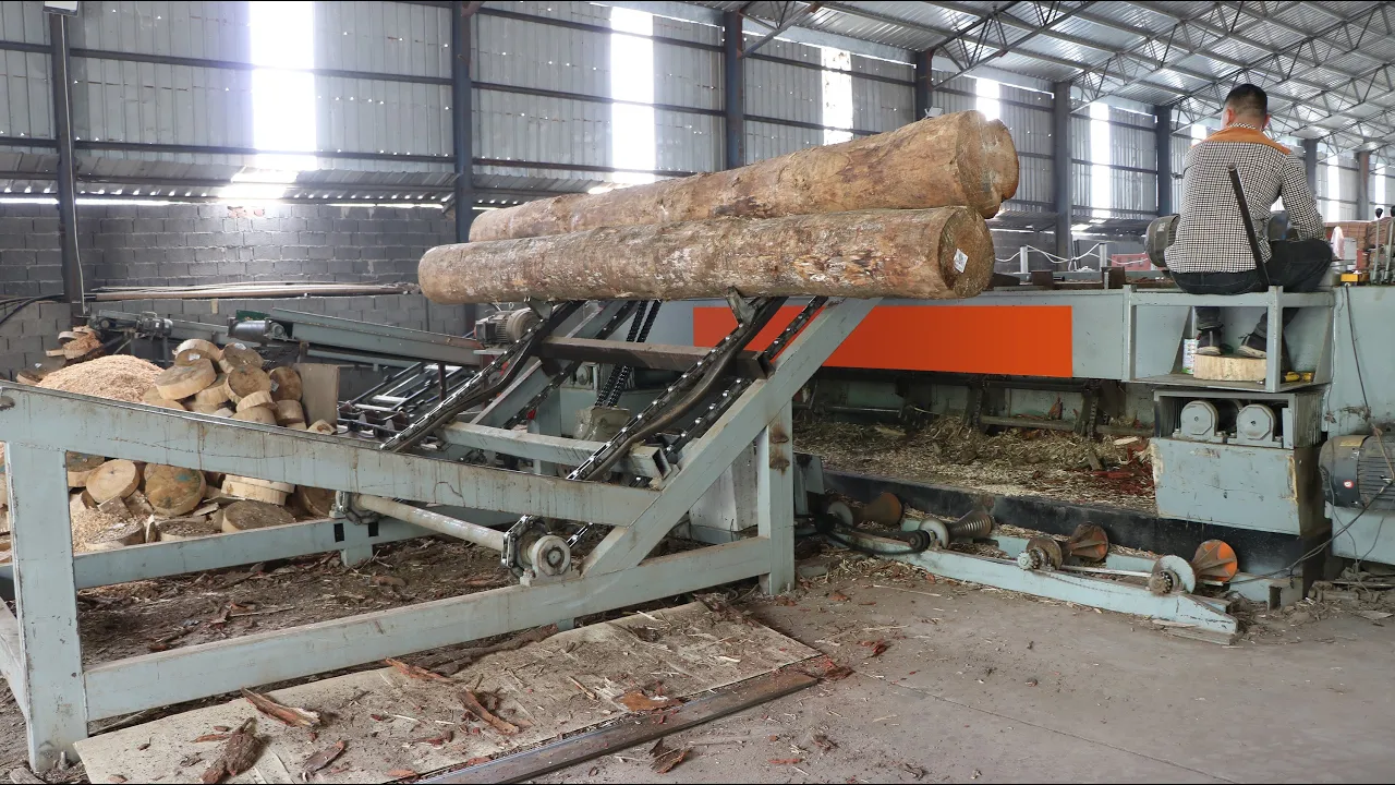 How To Make Plywood Complete Plywood Production Line #plywoodmachine #woodworkingmachine