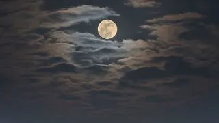 كلما احتجت الى المال ردد هذا الدعاء وسينزل عليك  المال  كمطر باذن الله تعالى دندنها