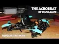 Runcam Split Mini FPV Noise on The Acrobrat Build