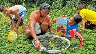 Buscando BETTAS En Una LAGUNA Con Los NIÑOS 🐠🤩 *El Final Nos SORPRENDIÓ* 😍🐟