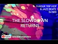 Download Lagu 9 Hour Chillout Lofi Trip Hop DJ Mix