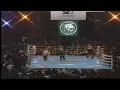 Mike Tyson vs Francois Botha - Full Fight -1-16-1999