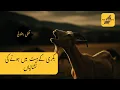 Signs of Goat in Heat How to Identify Heat in Goats With Real Examples Pak Breeders