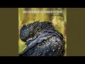 Download Lagu Iwenhe Tyerrtye (Parrtjima 2018)