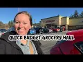 Fred Meyer Budget Haul What s Worth It