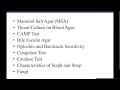 Quiz 5 Review