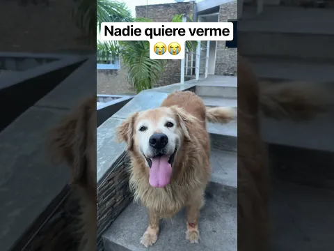 Nadie quiere verme ๐๐ฆฎ