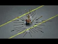 What s Great About Spears - Project Zomboid