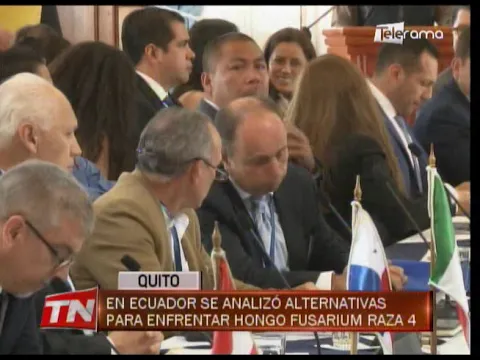 En Ecuador se analizó alternativas para enfrentar hongo Fusarium Raza 4