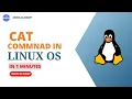 Linux Command 2023 CAT Command In 1 minute How to Use The CAT Command on the Linux Command Line