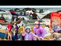 Lagu Ngư Dân Quảng Bình Vượt Sóng Đánh Tôm Bạc║Cá Đồng Cá Biển Chợ Hoàn Lão