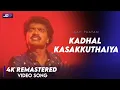 Download Lagu Kadhal kasakkuthaiya Video Song | Aan Paavam Movie Video Song |  Ilaiyaraaja Music | Vaali  #JDMusic