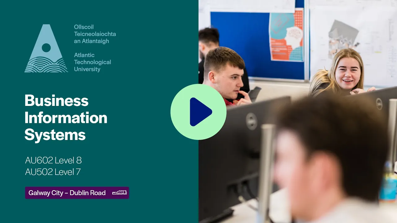 Business Information Systems Course Video