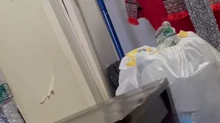                                            دندنها