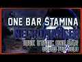 The ULTIMATE Beginner Stamina Necromancer One Bar Build