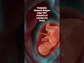 Masyaa Allah!! Ternyata ini perjanjian kita dengan Allah SWT sebelum di lahirkan ke dunia