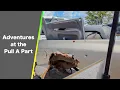 Adventures at the Pull A Part