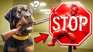 500IQ MECCHA CHAMELEON GAMEPLAY with CHOP & BOB