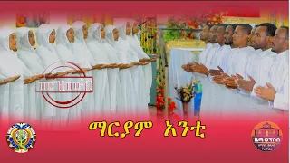 ማርያም አንቲ አዲስ መዝሙር ZwT ዜማ ወጥበብ ዘማኅበረ ቅዱሳን Official Video 