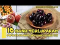 10 Buah Terlupakan Asli Indonesia | Populer di Masa Lalu, Langka Saat Ini
