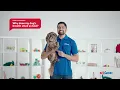 Health and Wellness for Your Dog - Q A