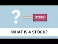What is a stock