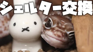 水を吸わないシェルター