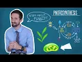 Photosynthesis Made Simple