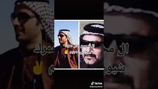 شيوخ عشائر آل محسن في العراق والوطن العربي 