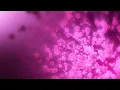 Trapcode TAO Tutorial 4 Trippy Psychedelic Visuals Animation With TAO After Effects Tutorial