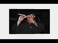 Flutist Walter Bell - "Oooh La,la,la..."