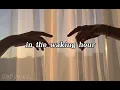 dreams tonite - alvvays | lyrics video