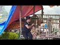 Download Lagu Perfecting the puppy house - daily life of Tieu Ca and single mother