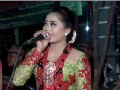 Download Lagu Podang Kuning Voc. Rini - Mudho Laras Live Kanten